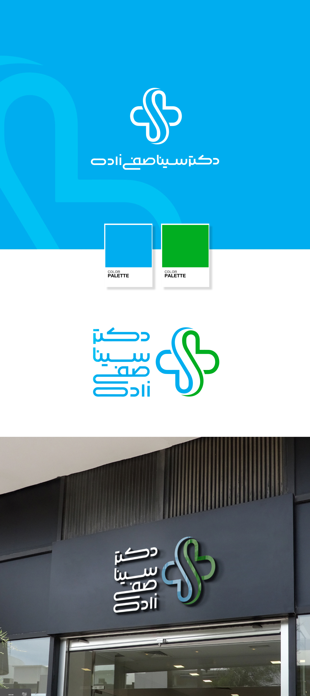 Dr Sina Safizadeh 3