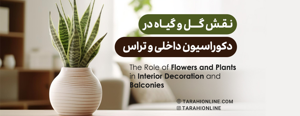 The Role of Flowers and Plants in Interior Decoration and Balconies