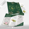 Brochure Design for Zarayar Green