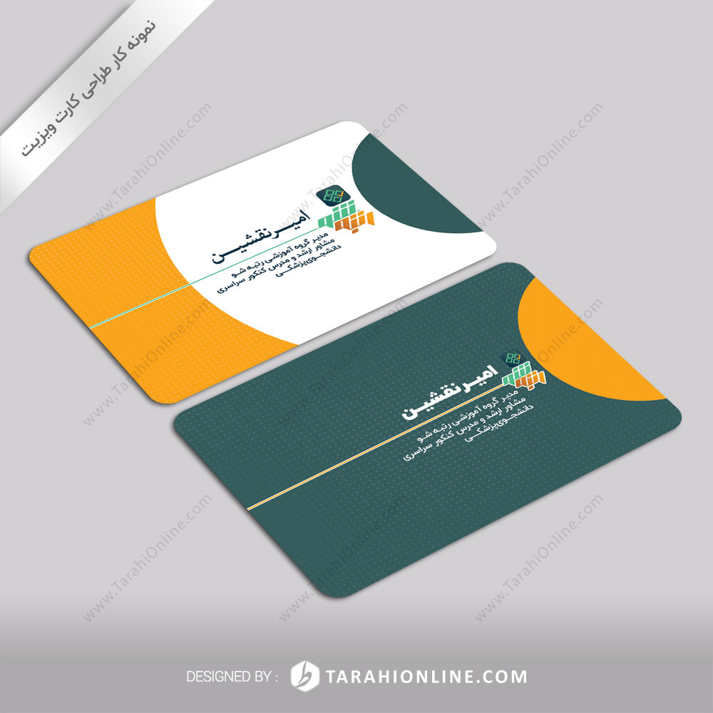 Business Card Design for Amir Naghshin