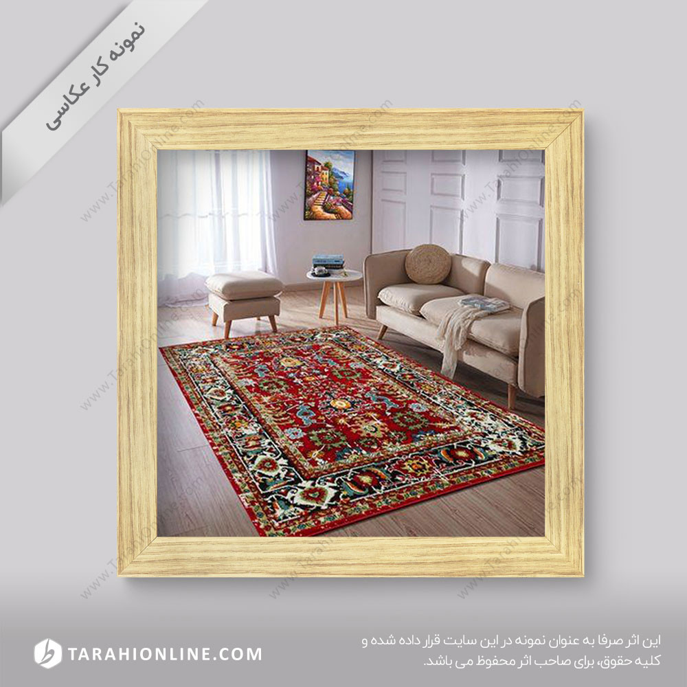 Carpet Photography 4