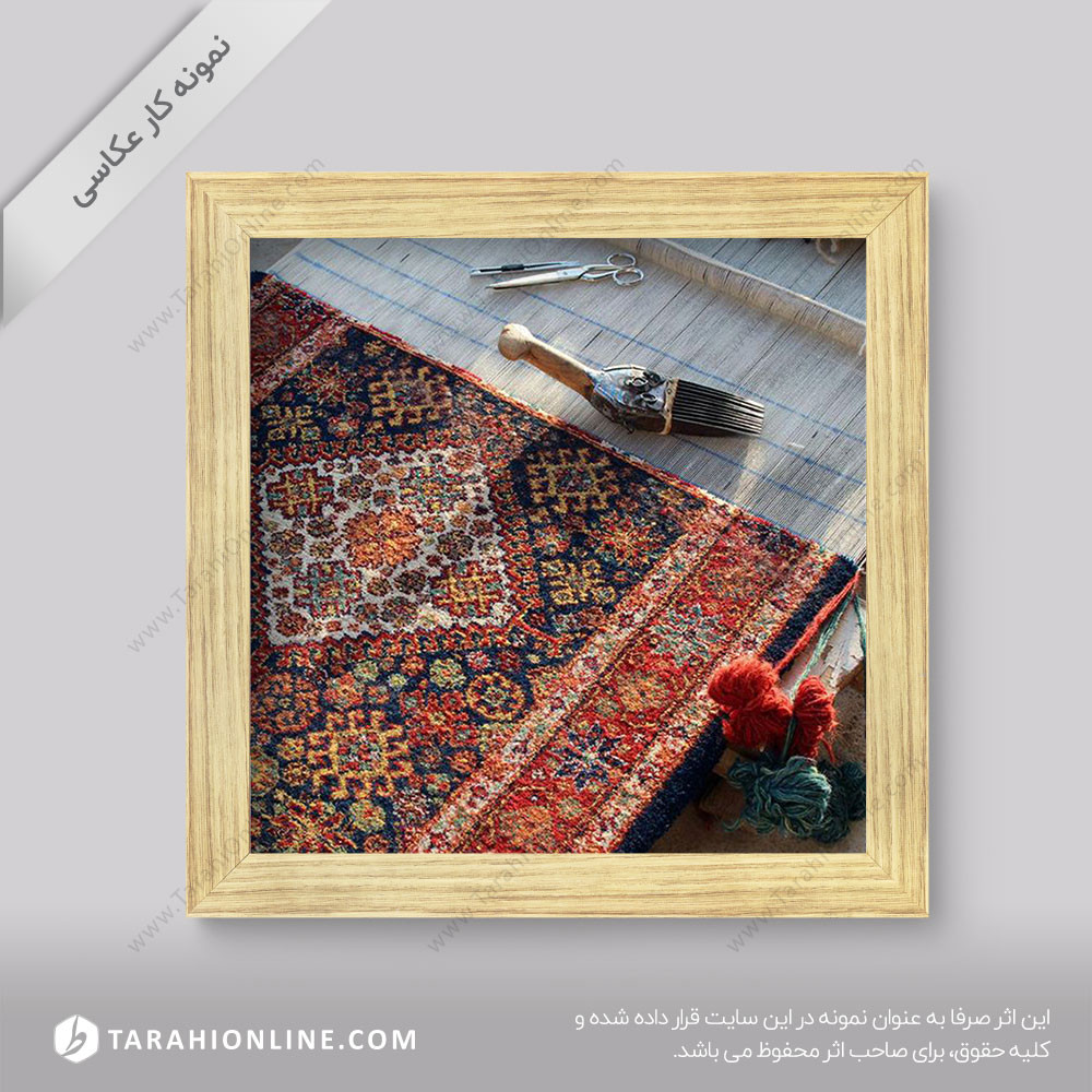Carpet Photography 2