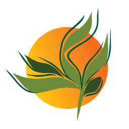 رستوران برکت