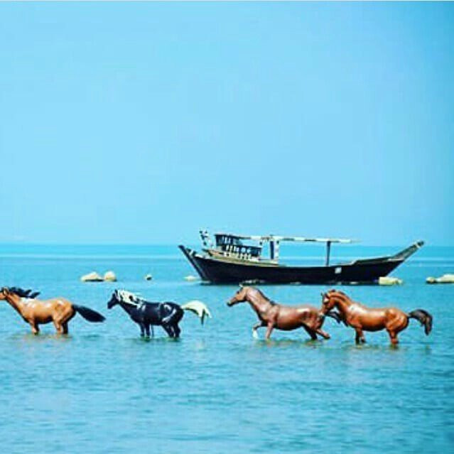 boushehr_land