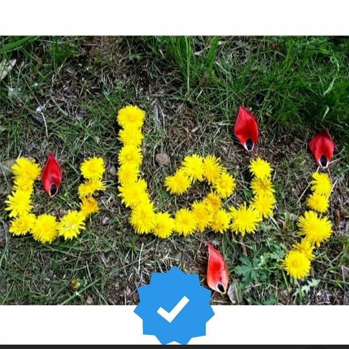 zanjan_._city_._024