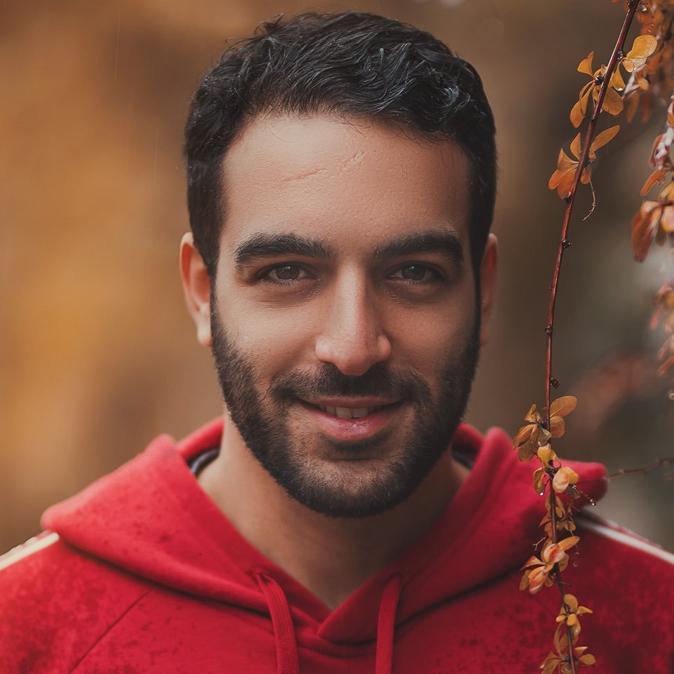 آرمین شون