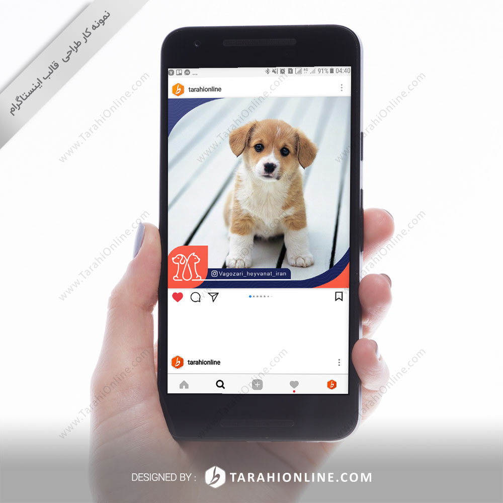 Instagram Post Template Design for Vagozari Heyvanat