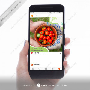 Instagram Post Template Design for Fatere Gholam Nejad 1