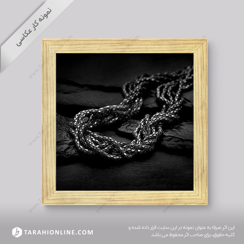 عکاسی از جواهرات - گردنبند نقره 5