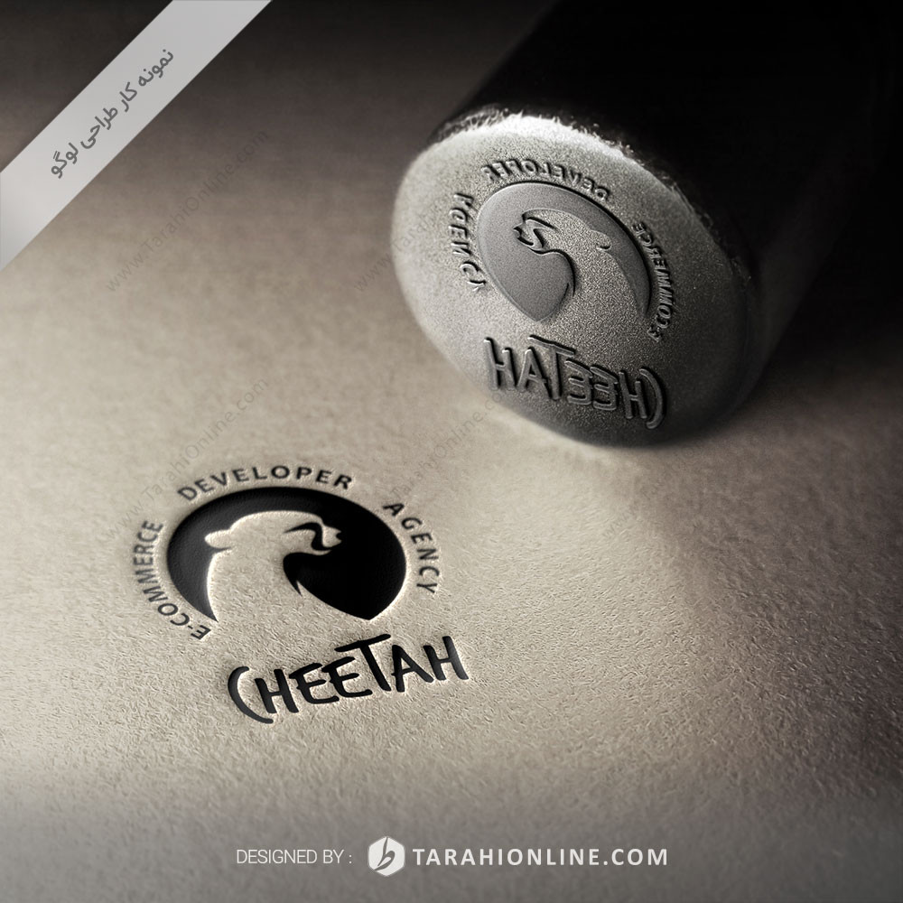 Logo Design for Cheetah E-commerce Developer Agency - Image 2
