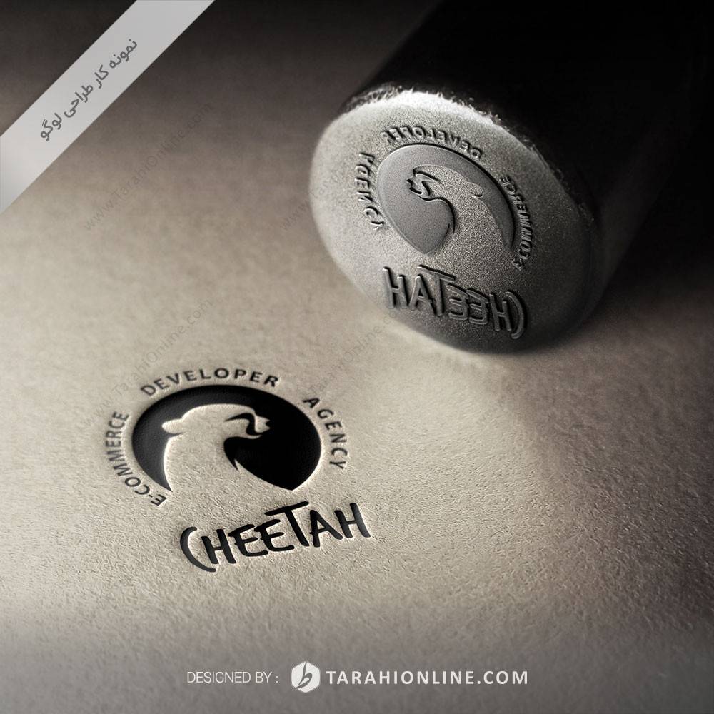 Logo Design for Cheetah E-commerce Developer Agency - Image 2