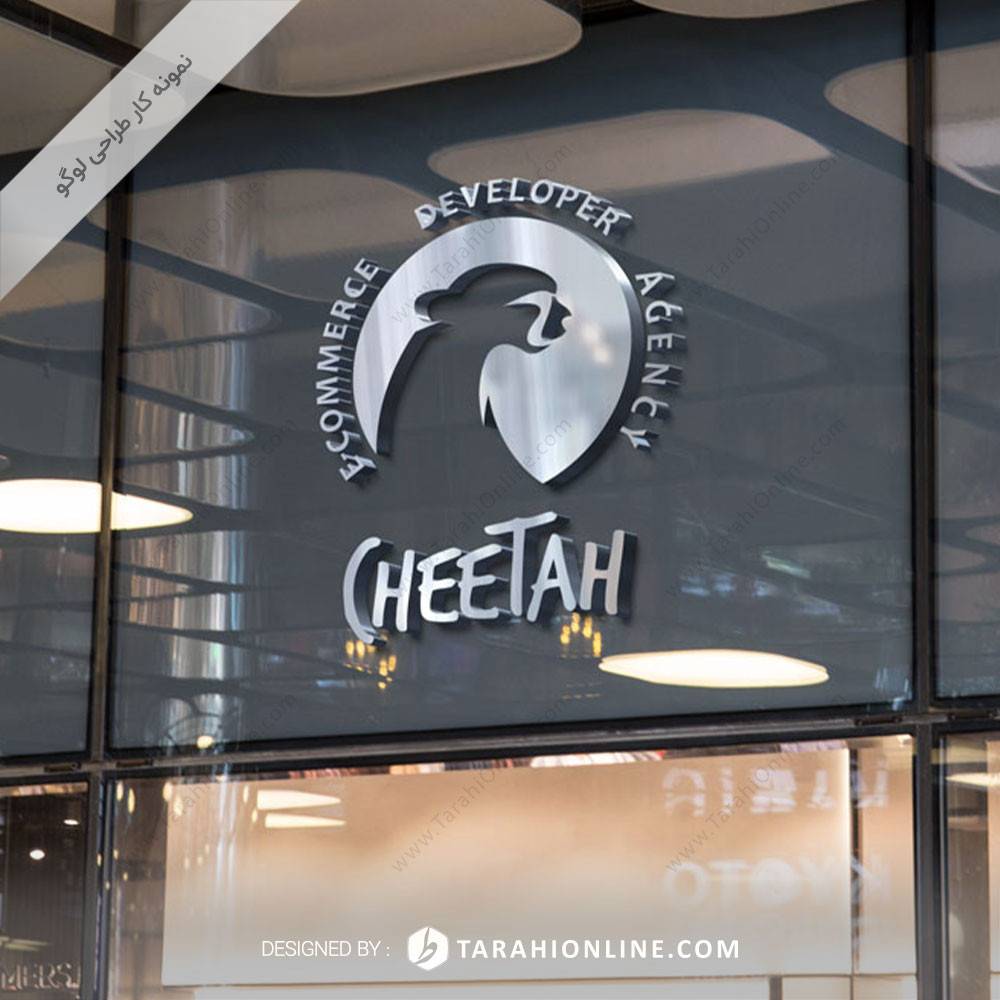 Logo Design for Cheetah E-commerce Developer Agency - Image 3
