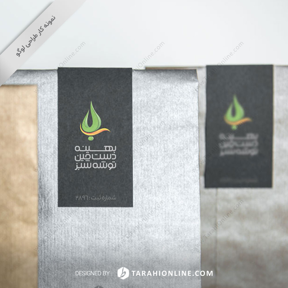 طراحی لوگو ترکیبی بهینه دست چین توشه سبز - تصویر 2