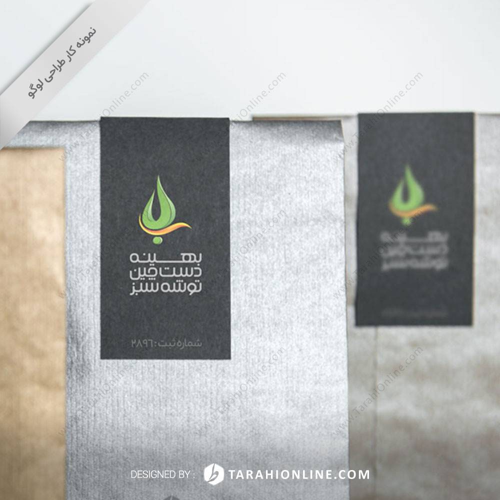 Logo Design for Behine Dast Chin Toushe Sabz - Image 2