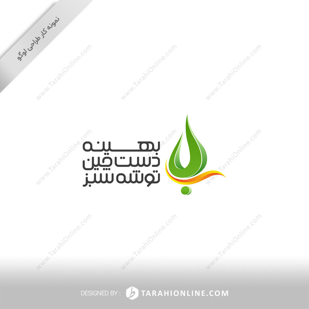 طراحی لوگو ترکیبی بهینه دست چین توشه سبز