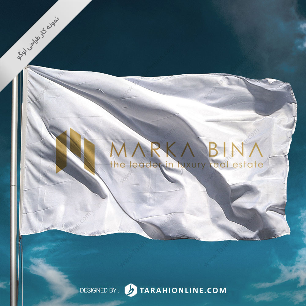 Logo Design for Marka Bina - Image 3
