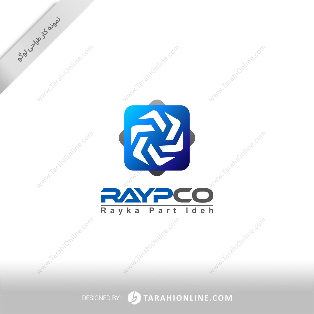 Logo Design for Raypco