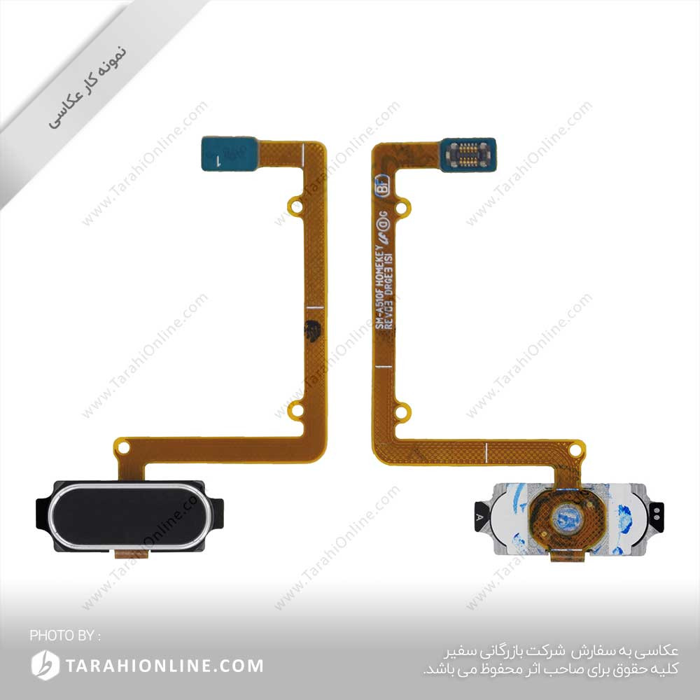 photography of Home Bot