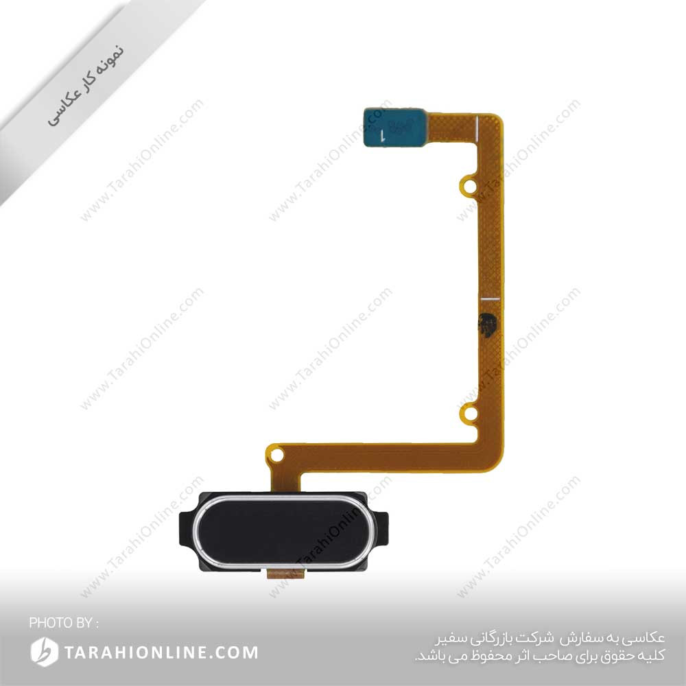 photography of Home Bot - Image 2