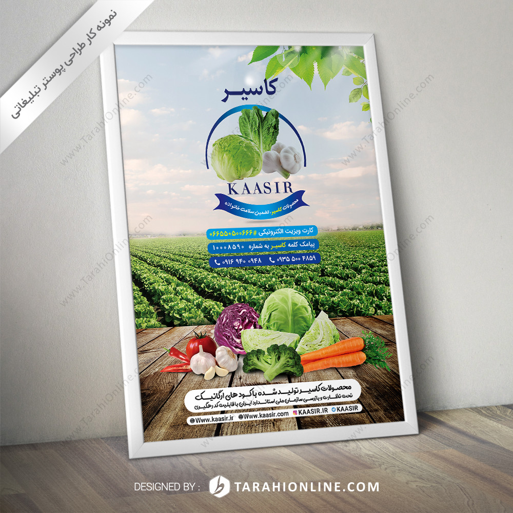 Poster Design for Babak Jafari Kasir 01