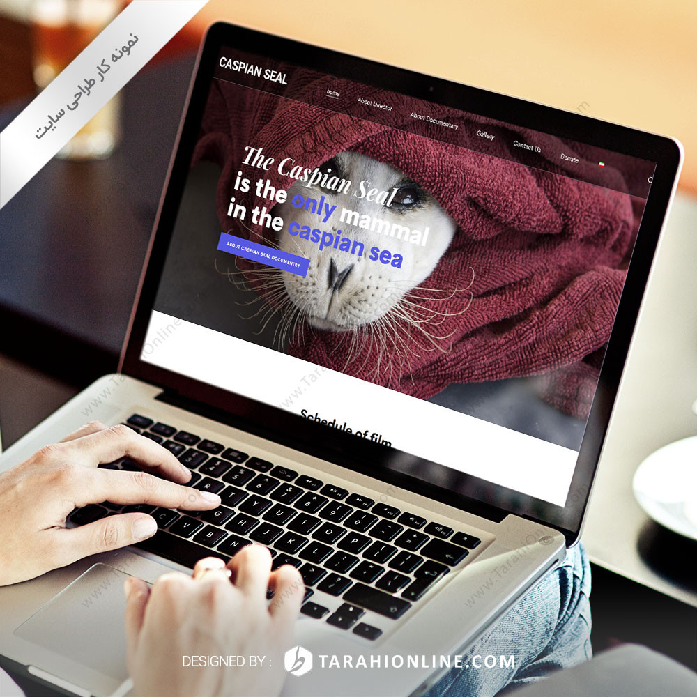 Web Design for CaspianSeals