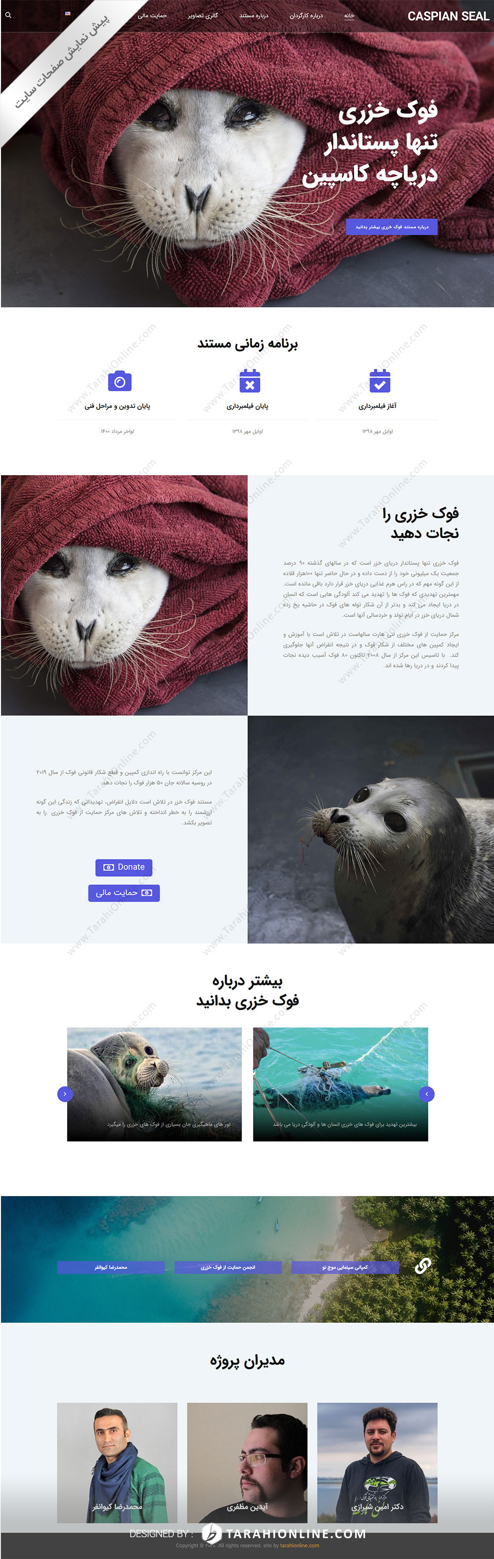 Web Design for CaspianSeals - Image 3