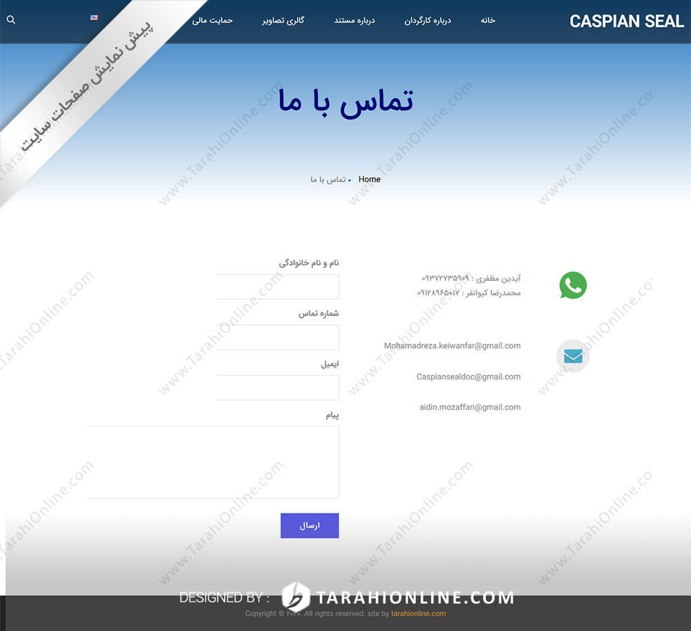 Web Design for CaspianSeals - Image 9