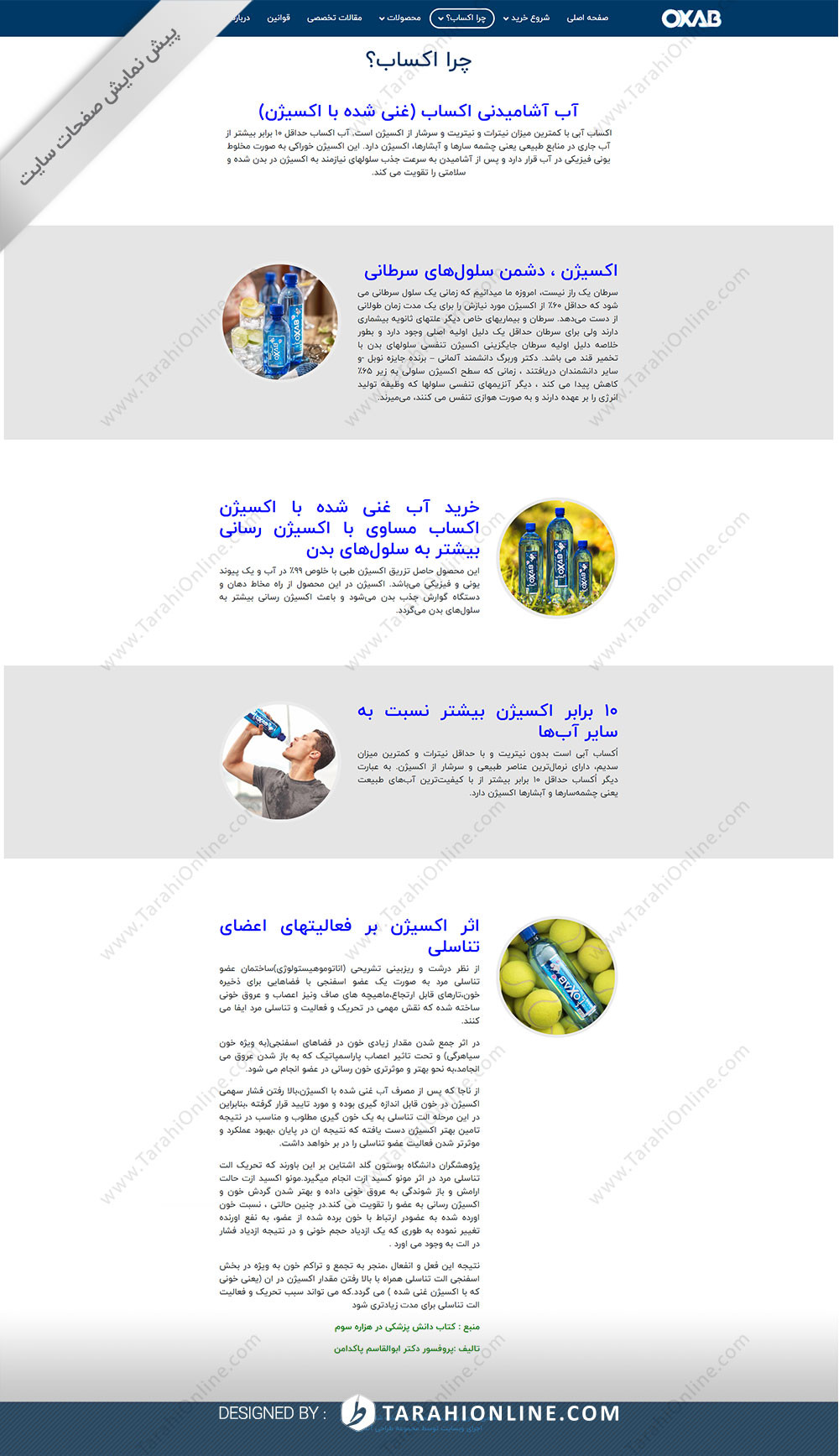 Web Design for Oxab Shop - Image 5
