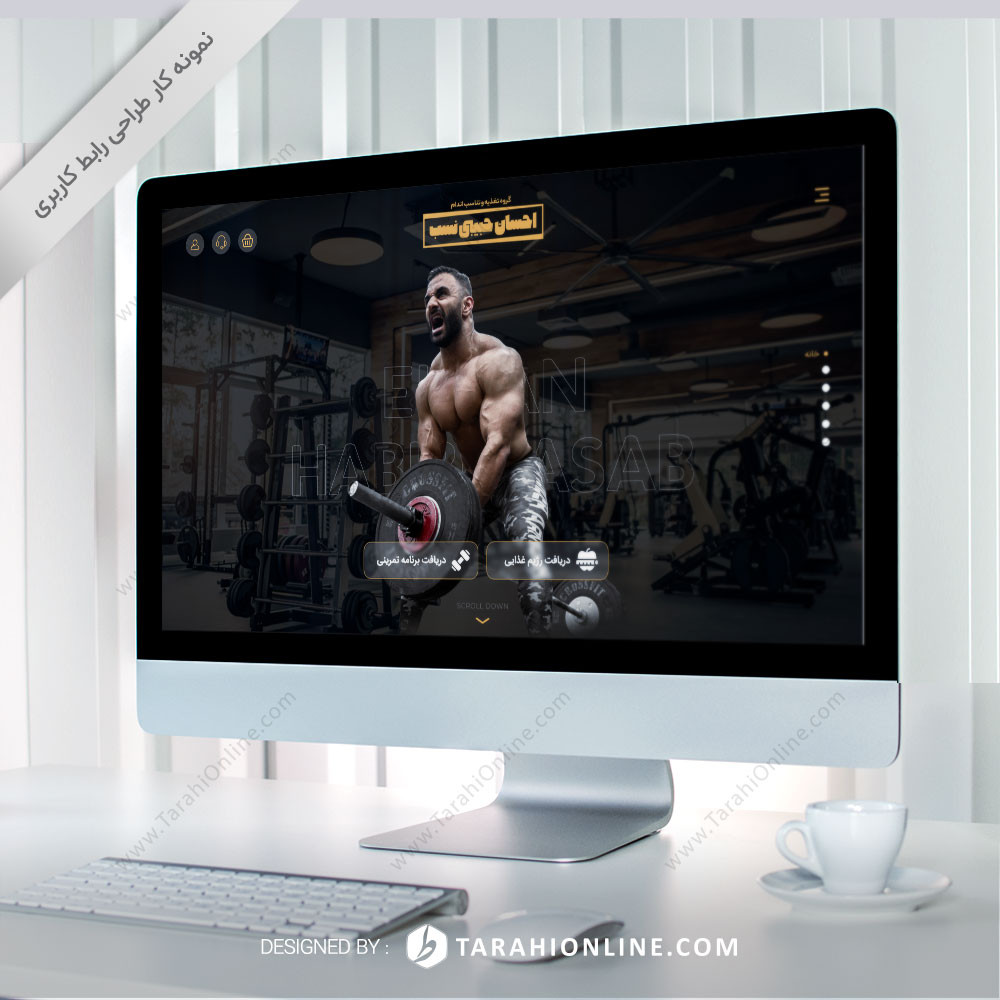 ui design Ehsan habibinasab