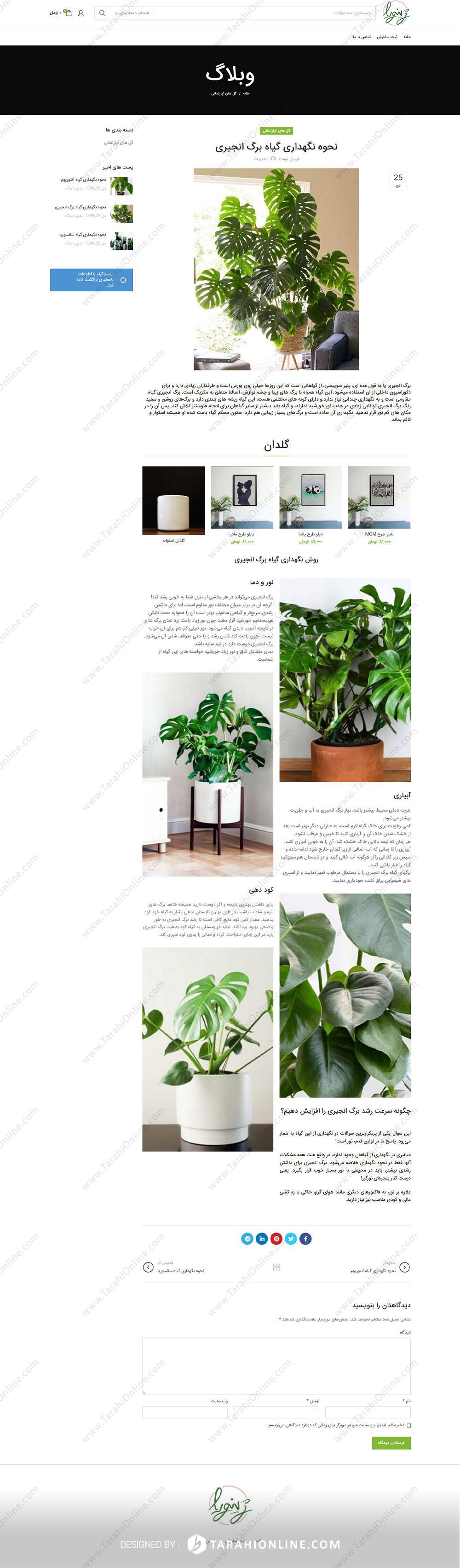 طراحی سایت فروشگاهی ژینورا - تصویر 4