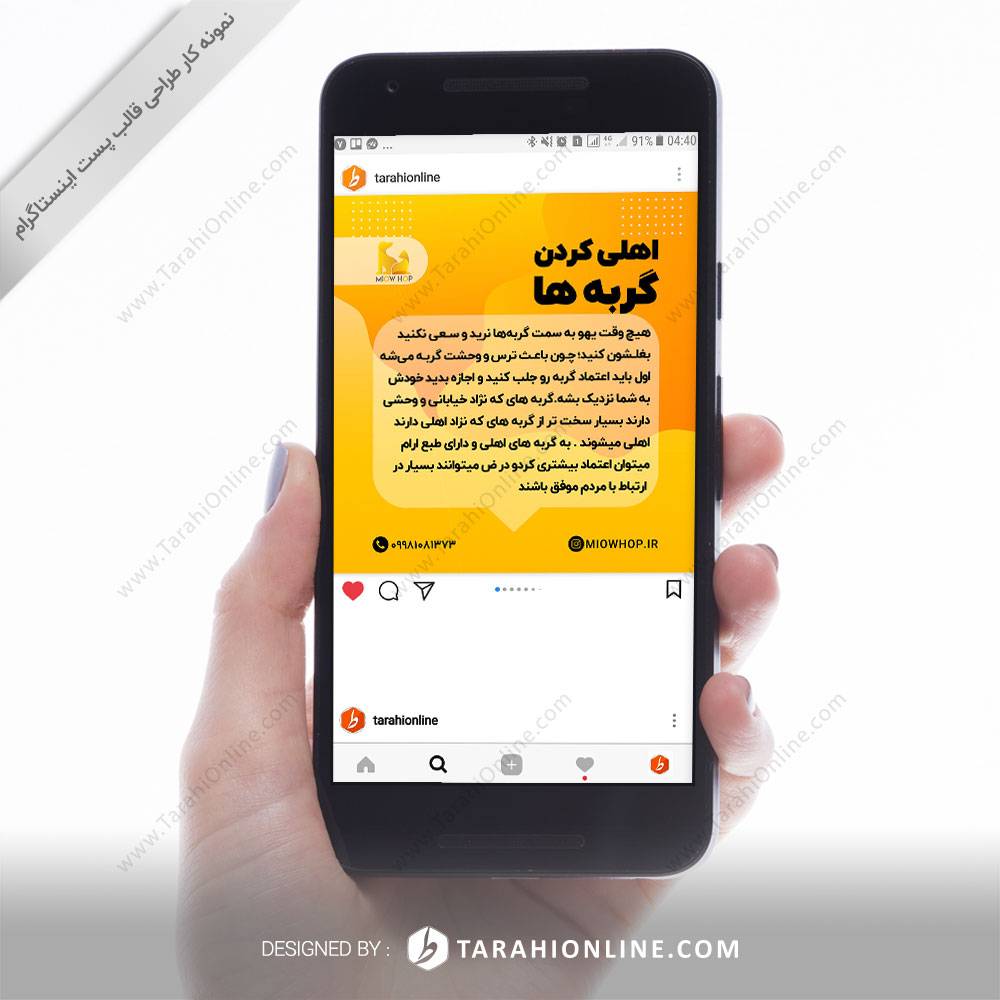 طراحی قالب اینستاگرام میوهاپ پت - تصویر 2