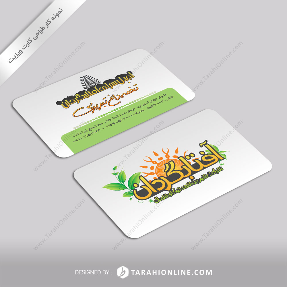 Business Card Design for Aftabgardan