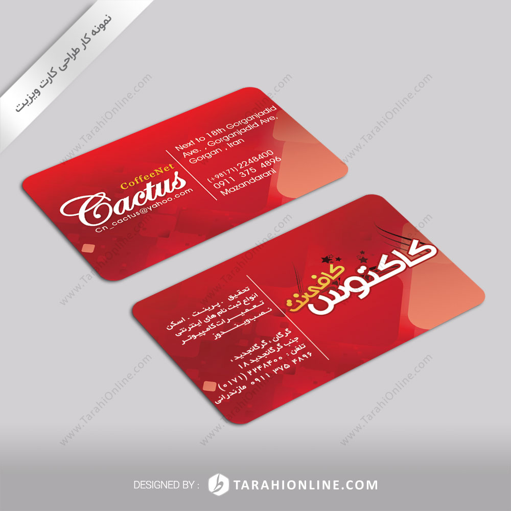 Business Card Design for Kaktoos