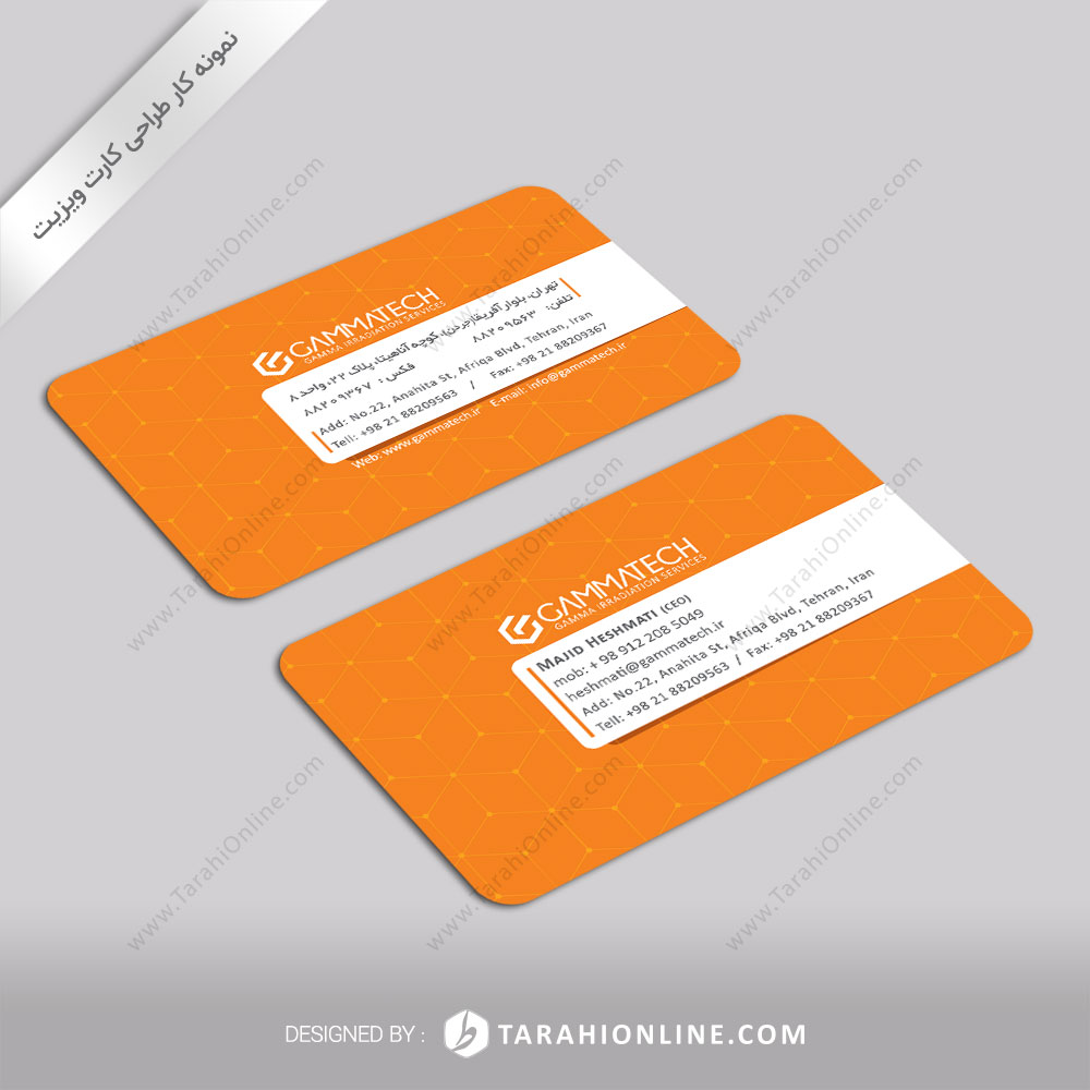 Business Card Design for Gammatech