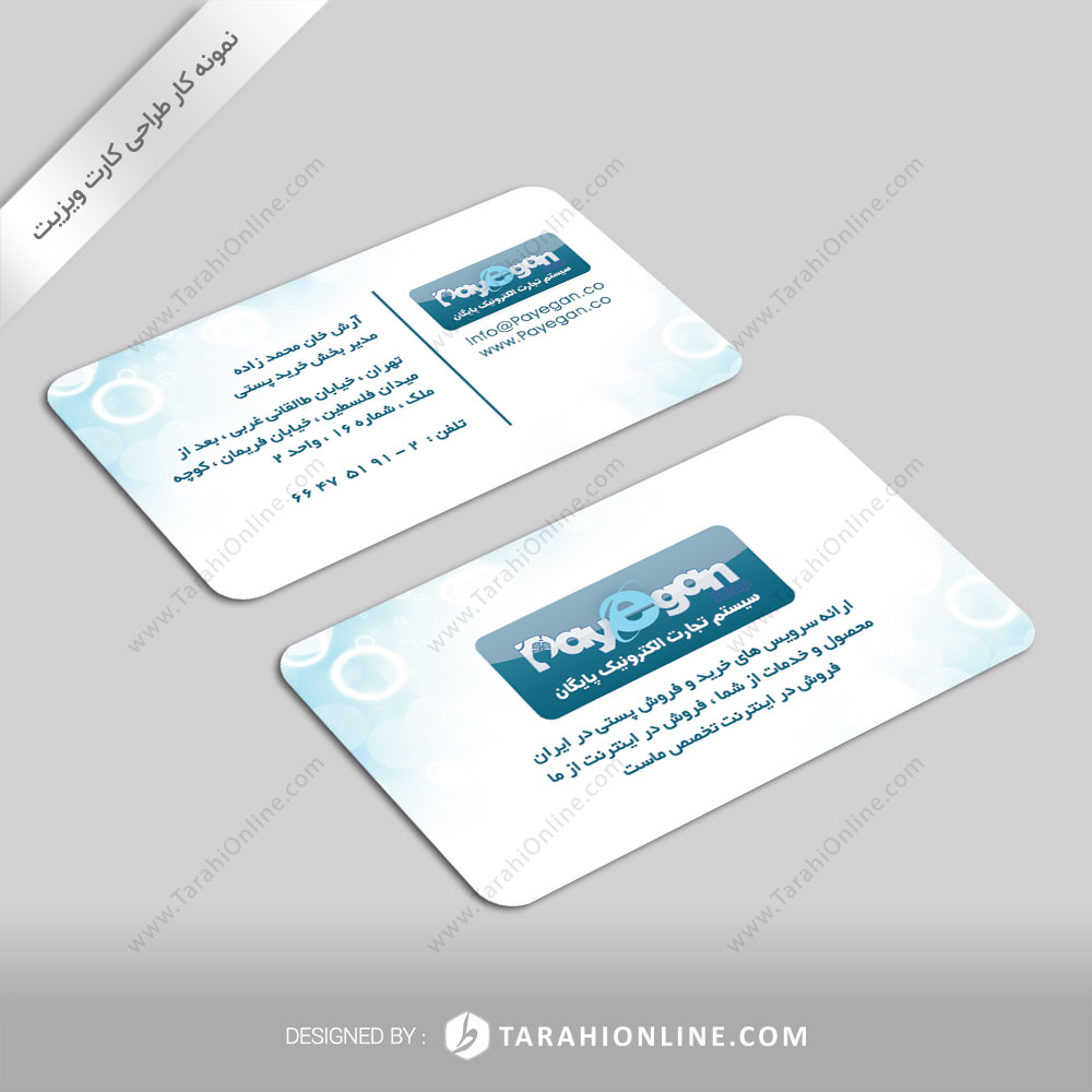 Business Card Design for Payegan