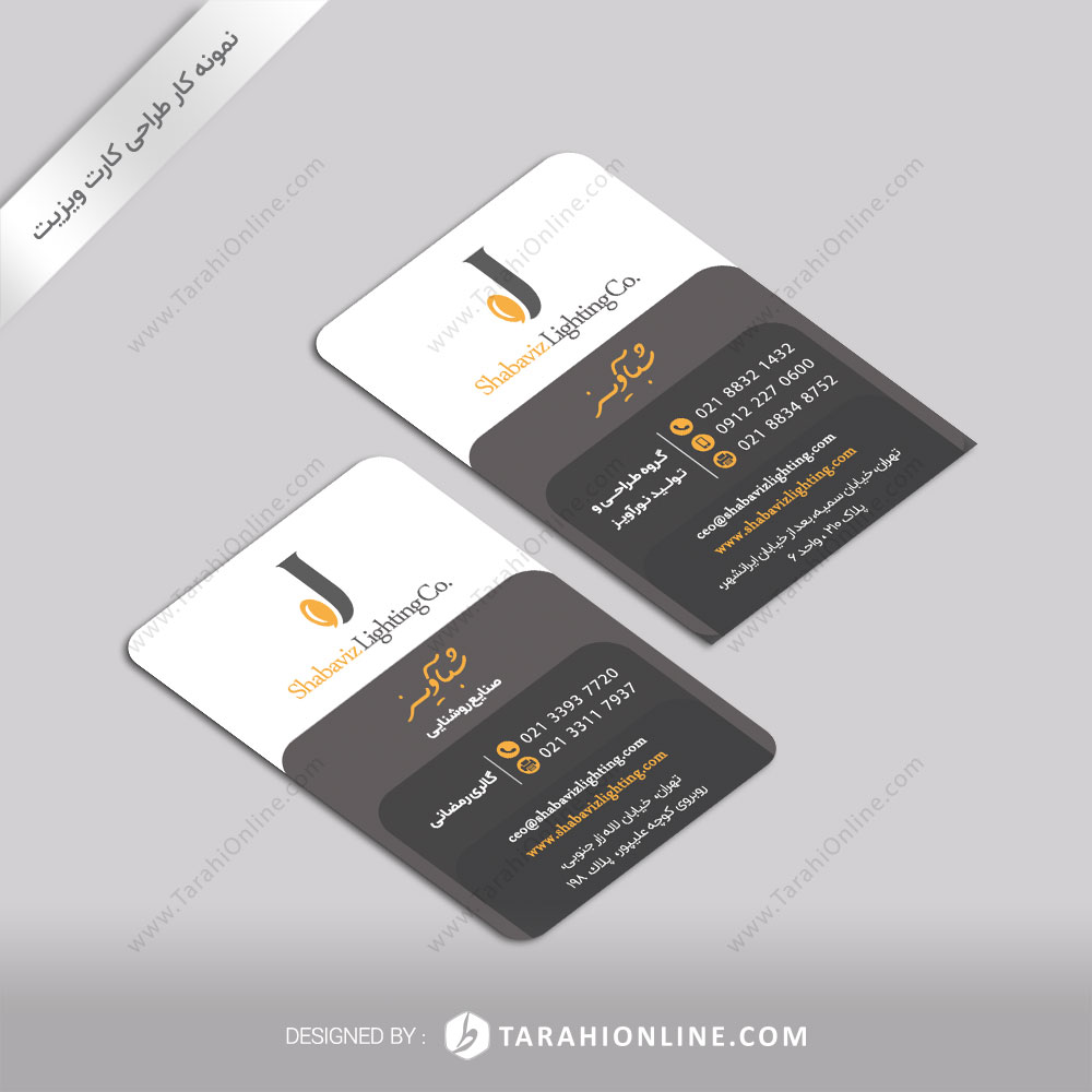 Business Card Design for Shabaviz
