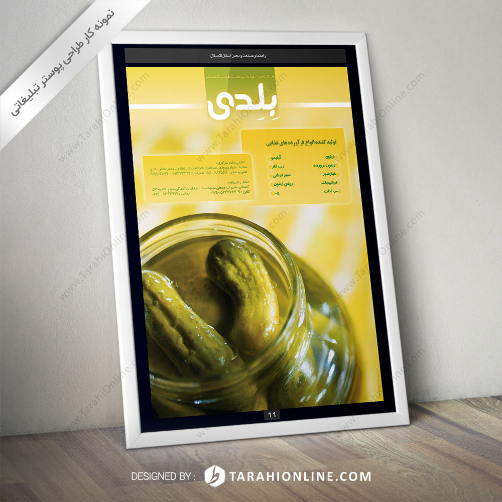 Poster Design for Sanayebeledi