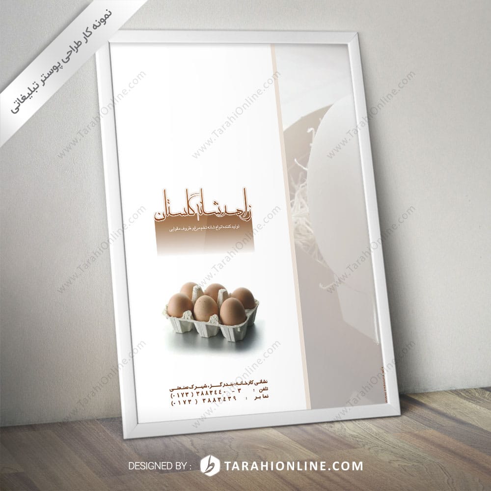 Poster Design for Zahed Shane