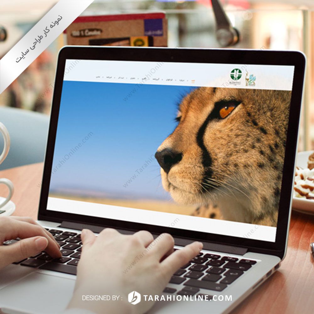 طراحی سایت جشنواره بین المللی فیلم سبز