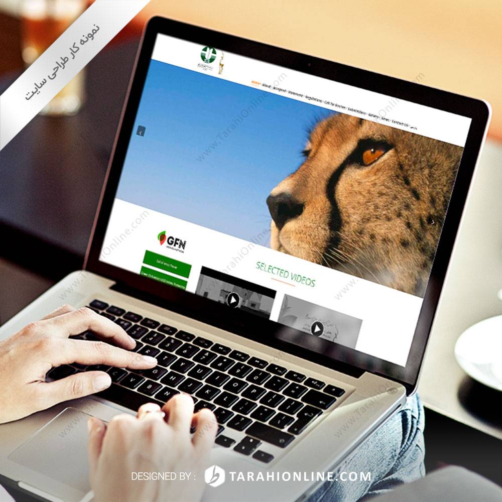 طراحی سایت جشنواره بین المللی فیلم سبز ایران - نسخه دوم - تصویر 11