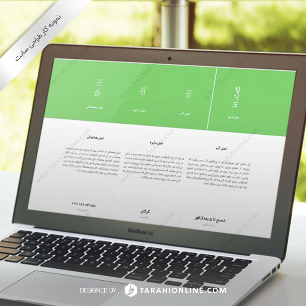 Web Design for Iranhapkido - Image 2