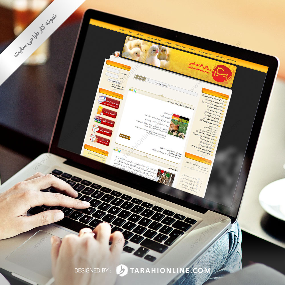 Web Design for Paygir Portal