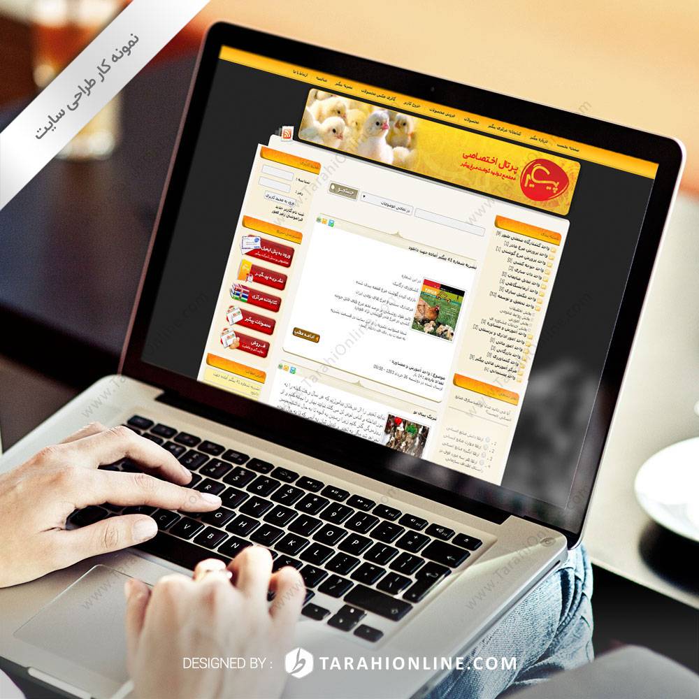 طراحی سایت پرتال اختصاصی مجتمع تولید گوشت مرغ پیگیر