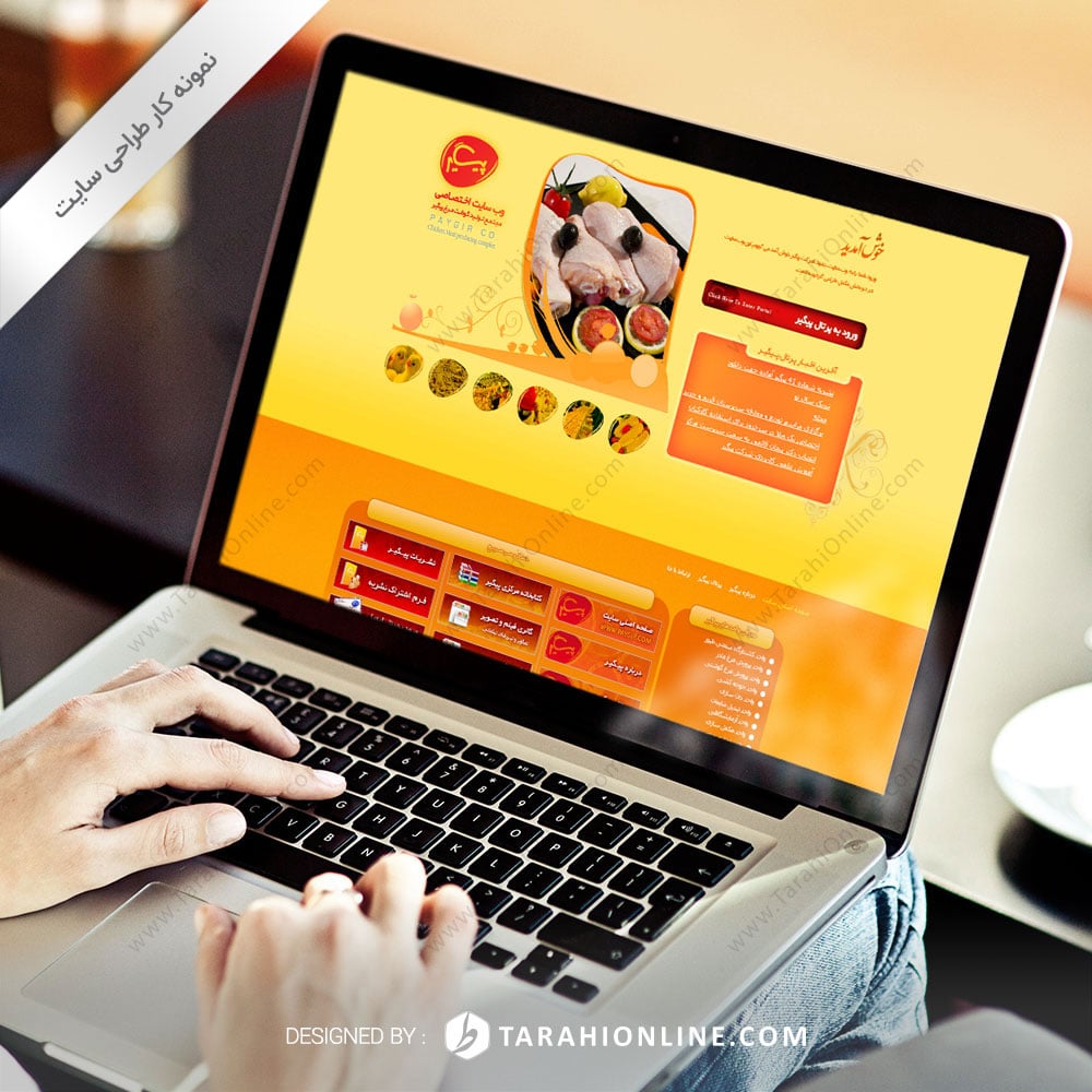 Web Design for Paygir