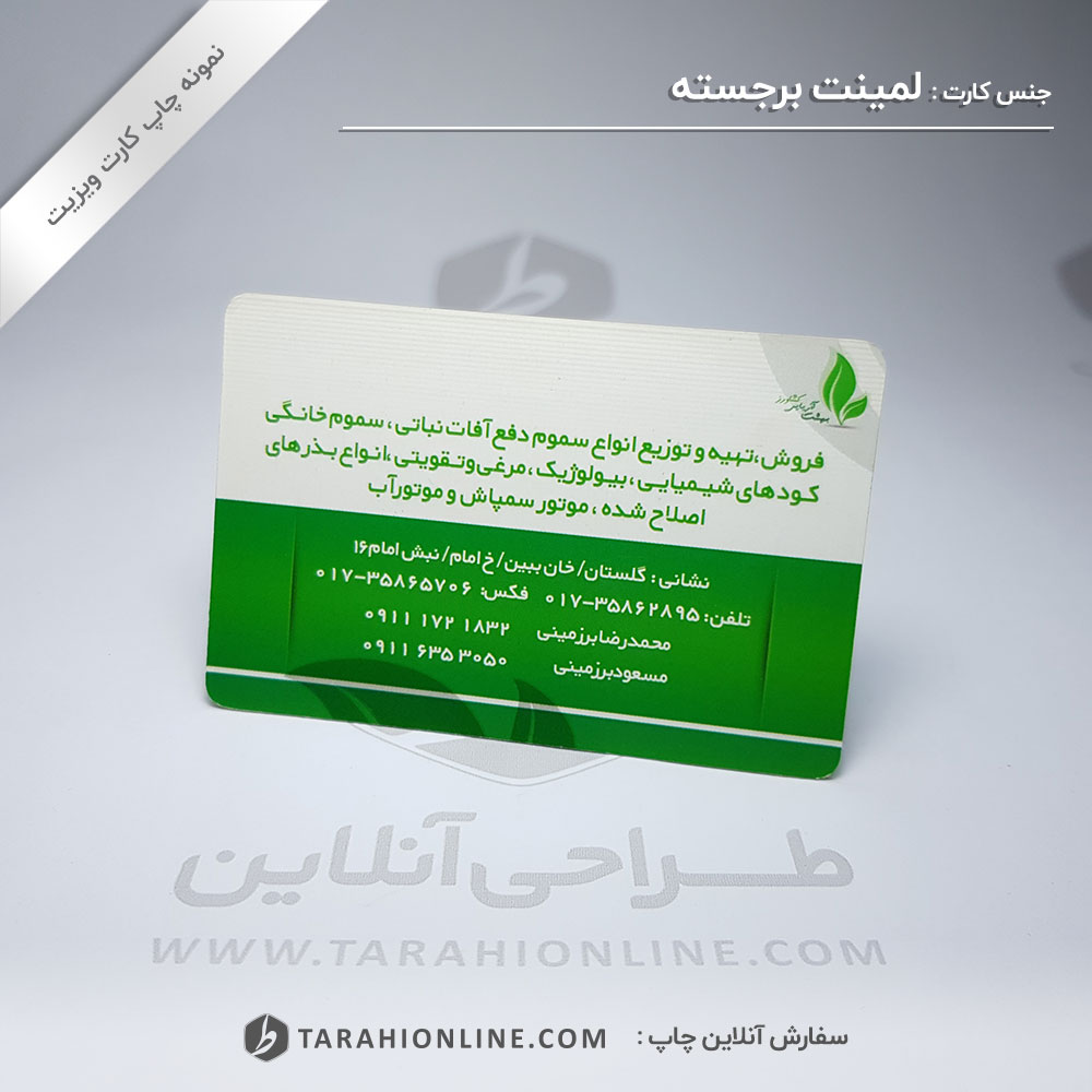 Business Card Print for Laminet Barjaste Beheshtariaei - Image 3