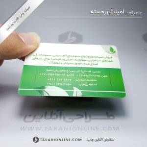 Business Card Print for Laminet Barjaste Beheshtariaei