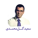 Saeed Gol Mohammadi