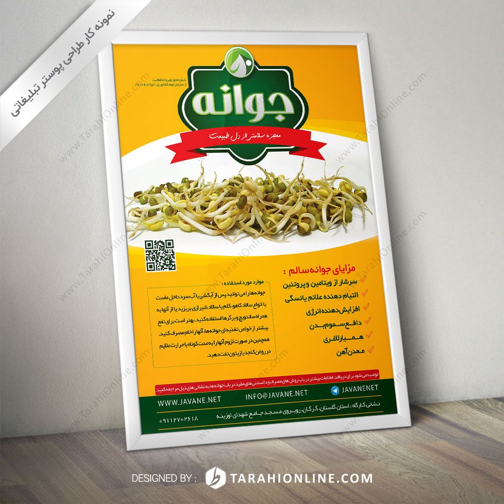 طراحی پوستر جوانه سالم ۲