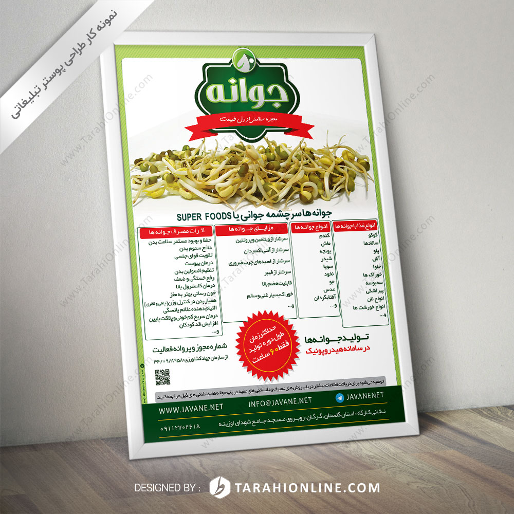 Poster Design for Javane Salem 2 - Image 2