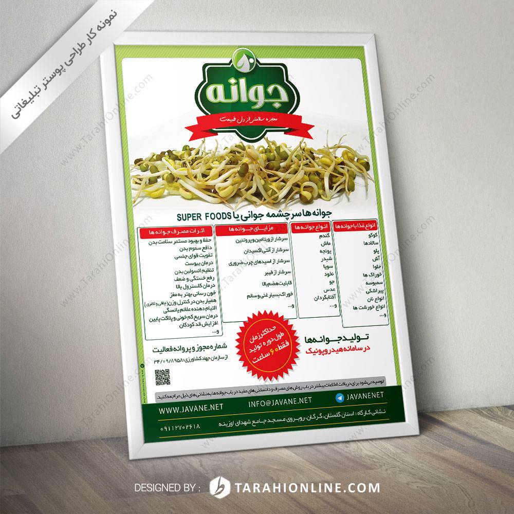 Poster Design for Javane Salem 1 - Image 2